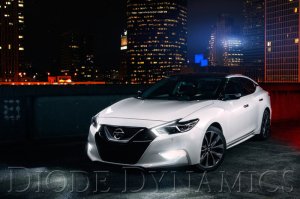Nissan Maxima LED Boards - Diode Dynamics - SB DRL - `16-`18